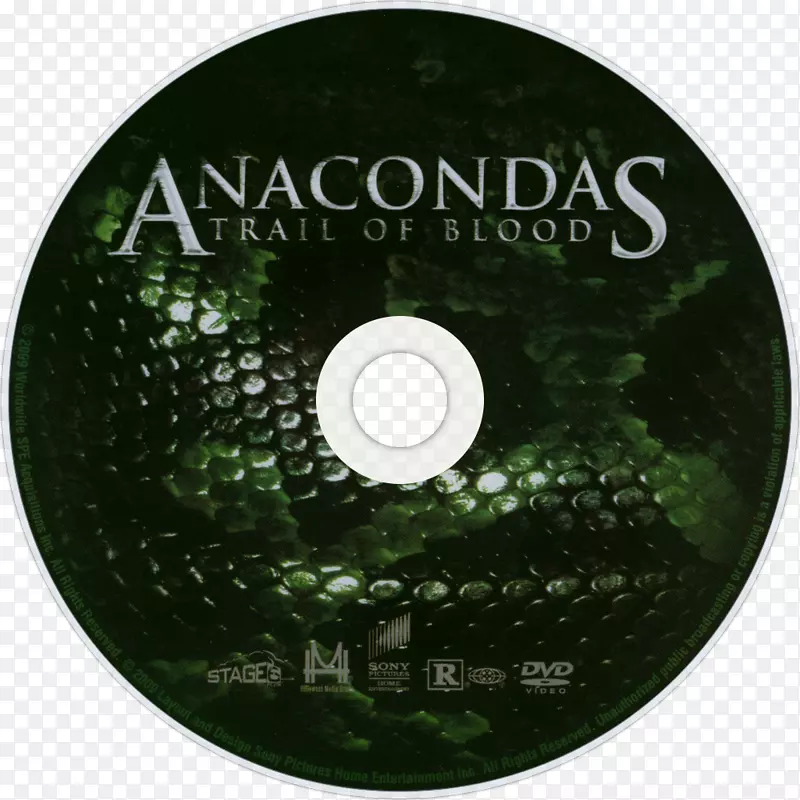 光盘Paul Sarone youtube anaconda dvd-youtube