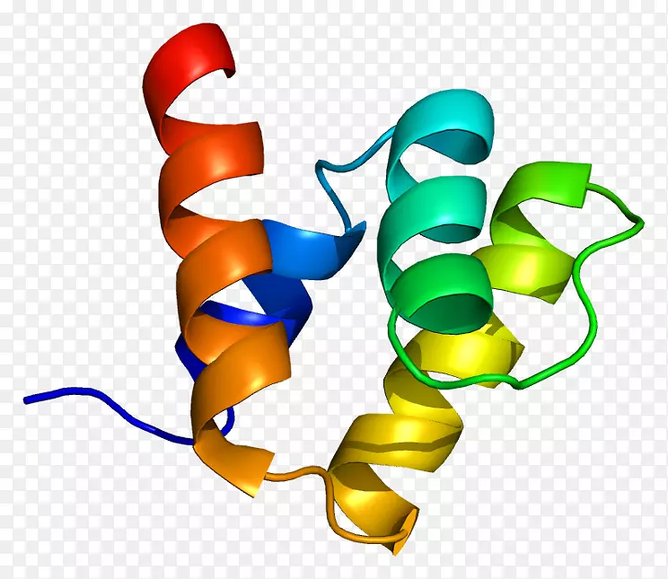 SUMO蛋白STAT 1泛素连接酶-酶