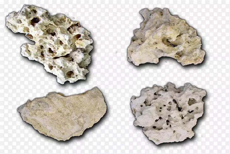 活岩底物地球化学海洋岩石