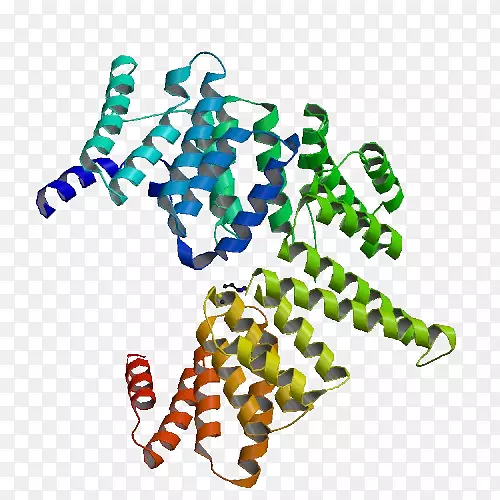 蛋白质RecA SOS响应分子生物学