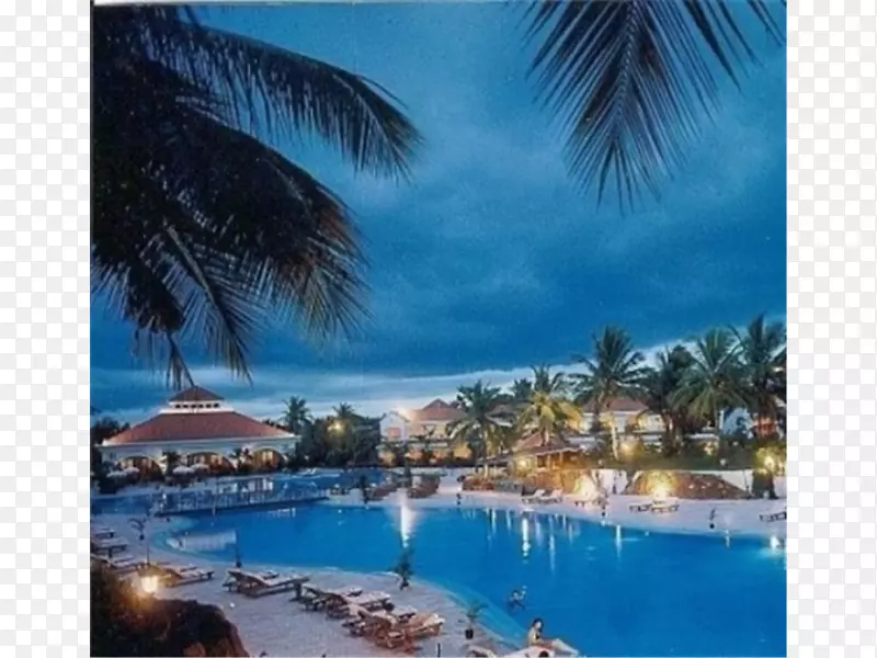 环球奥兰多酒店金棕榈酒店&温泉游泳池-酒店