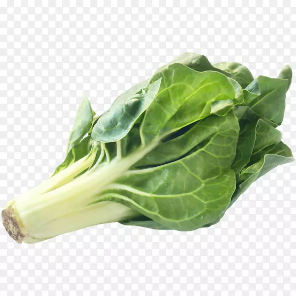 菠菜十字花科蔬菜