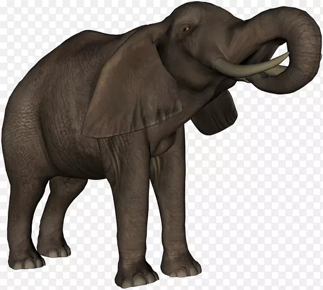 印度大象非洲象日记博客-Dieren