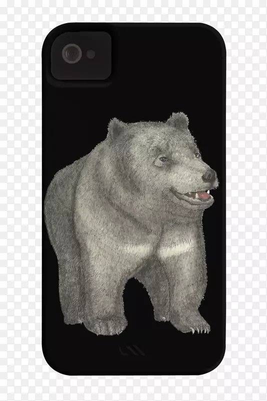 北极熊灰熊毛皮陆生动物-北极熊