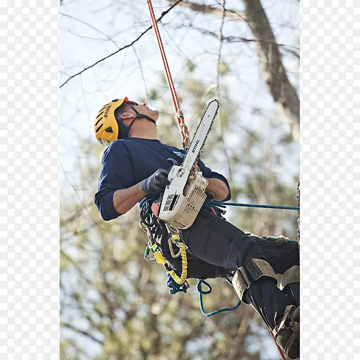 爬山吊带、保护装置和保护树安全装置.锯条链
