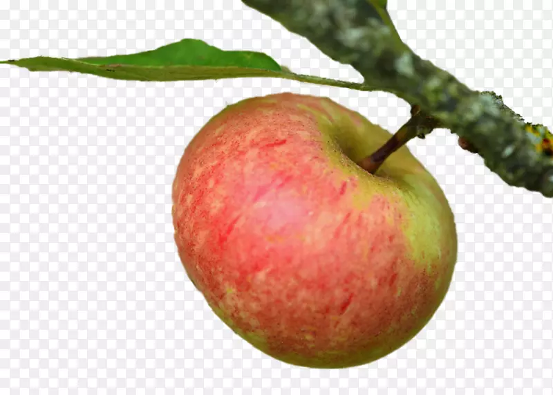 苹果画广告食品-苹果