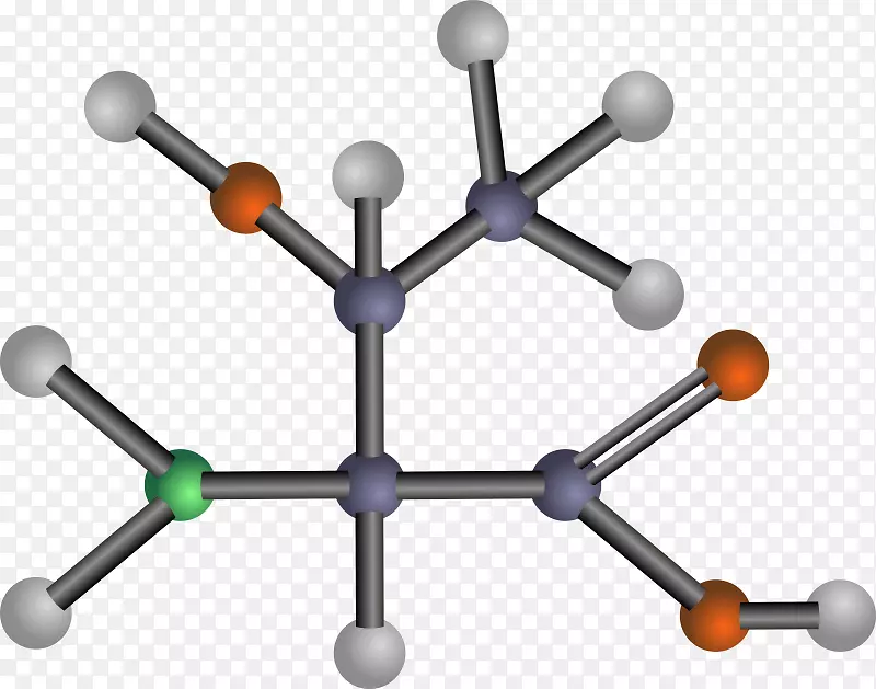 支链氨基酸异亮氨酸谷氨酸化学极性