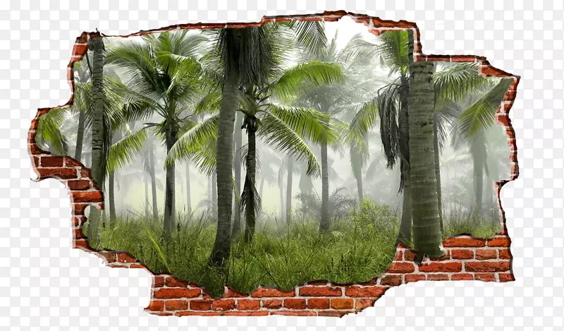槟榔科植物热带雨林折边墙
