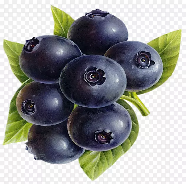 蓝莓越橘抗氧化保健膳食补充剂石榴汁