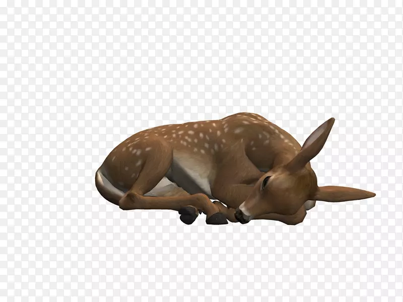 鹿复活节动物鹿角女人躺下