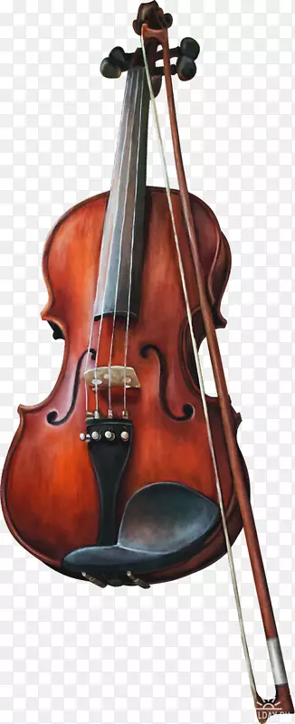 小提琴弓-小提琴
