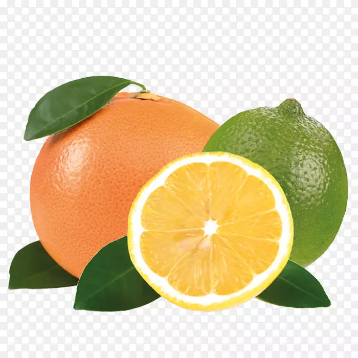 克莱门汀牌柠檬波斯酸橙橘子柠檬