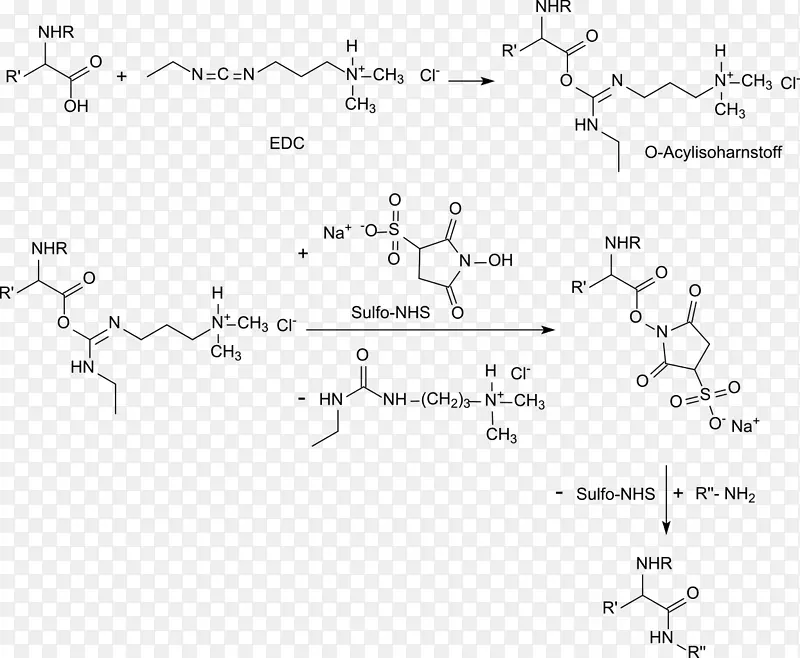 羧酸n-羟基琥珀酰亚胺碳二亚胺n-羟基磺基琥珀酰亚胺钠盐酯-EDC