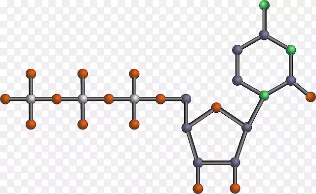 核酸结构dna和rna基因检测