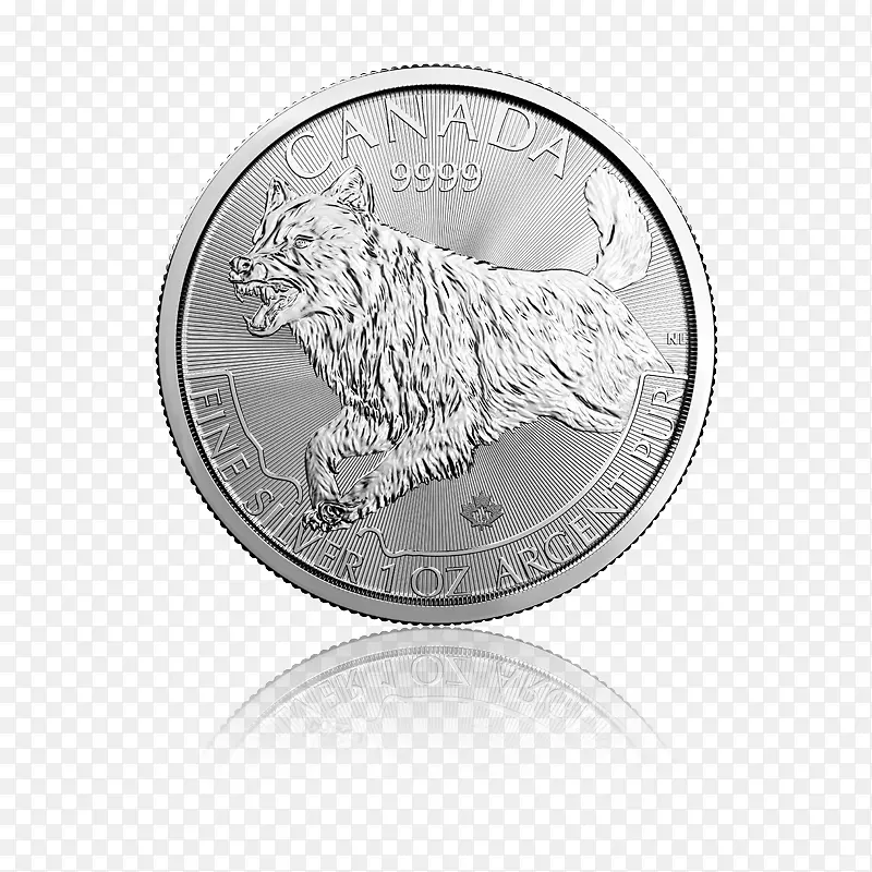 加拿大皇家薄荷捕食者加拿大银币加拿大银枫叶掠食者