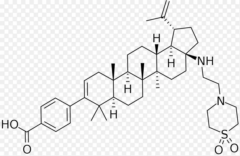 二羧酸酮酸白桦酸-布里斯托尔-迈尔斯施贵宝公司