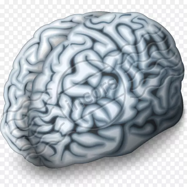 人脑神经成像数字化营销脑动脉-脑