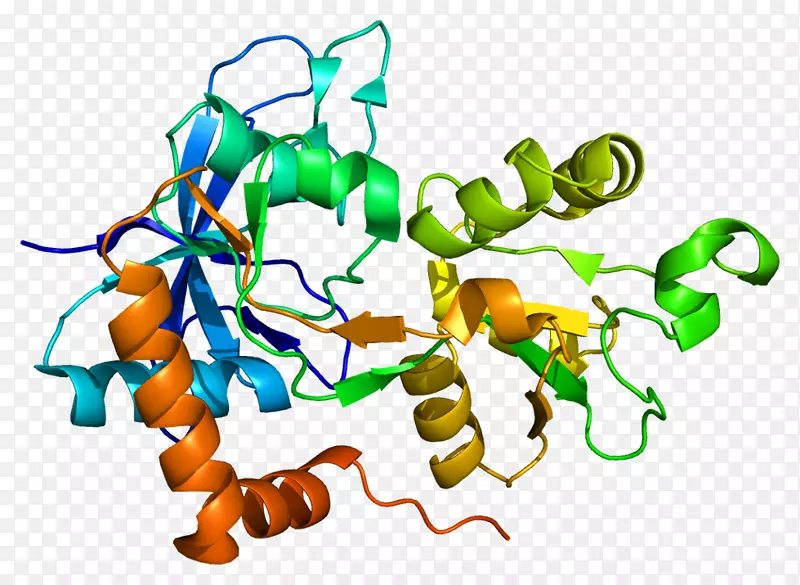 GRIN2A NMDA受体N-甲基-d-天冬氨酸基因grin 1-nmda受体