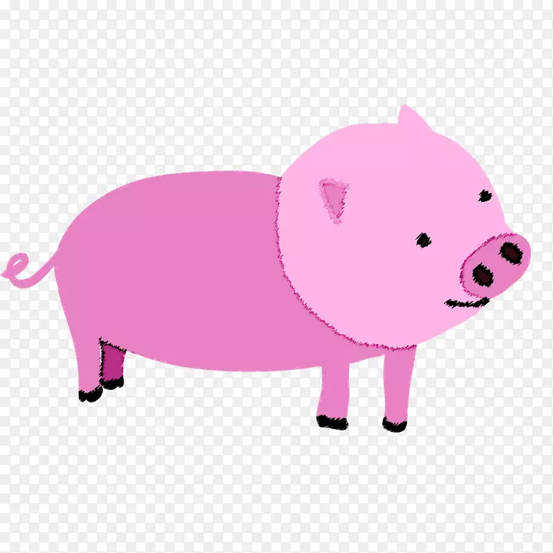 家猪猪肉剪贴画-猪