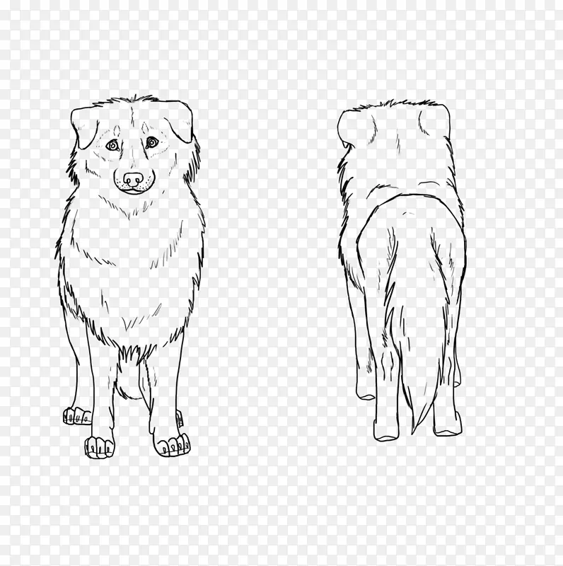 犬种鼻子线艺术素描-狗