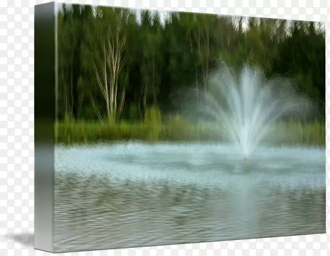池塘水资源湿地喷泉-水