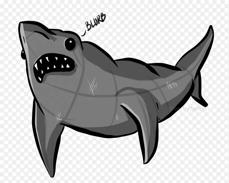 犬科鲨鱼狗海洋-鲨鱼