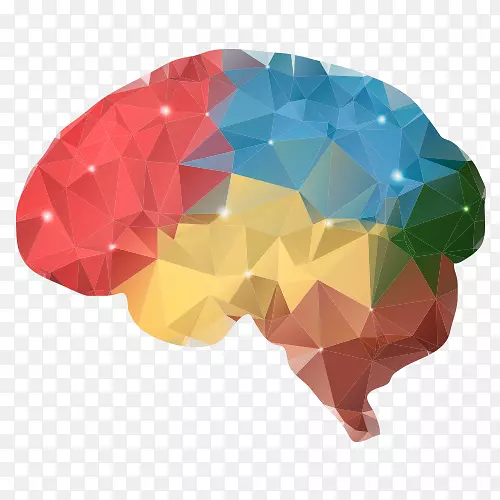 艺术红锅影响的说服心理学：科学与实践-大脑