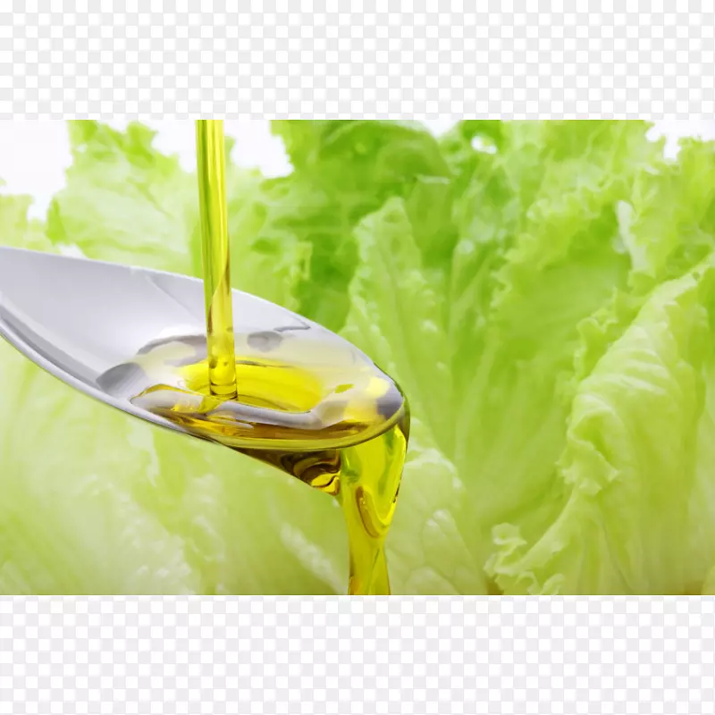 生菜食品健康沙拉-油