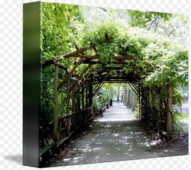 花卉和植物学家Garten k ln植物园咖啡杯拱门linux-中央公园