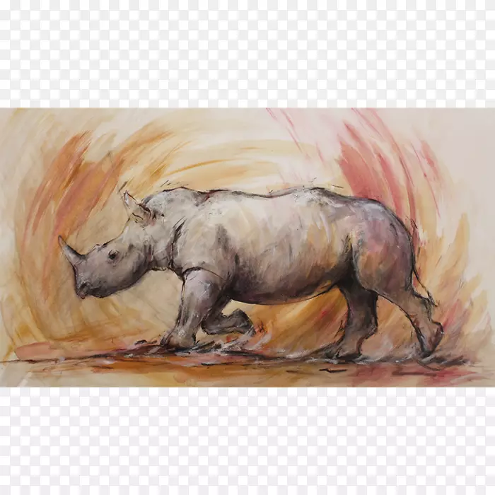 水彩画牛犀牛野生动物绘画