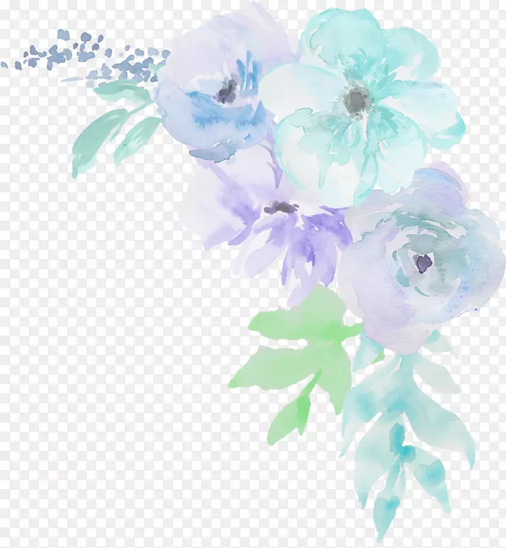 甘蓝、玫瑰花、花型、切花、花瓣花