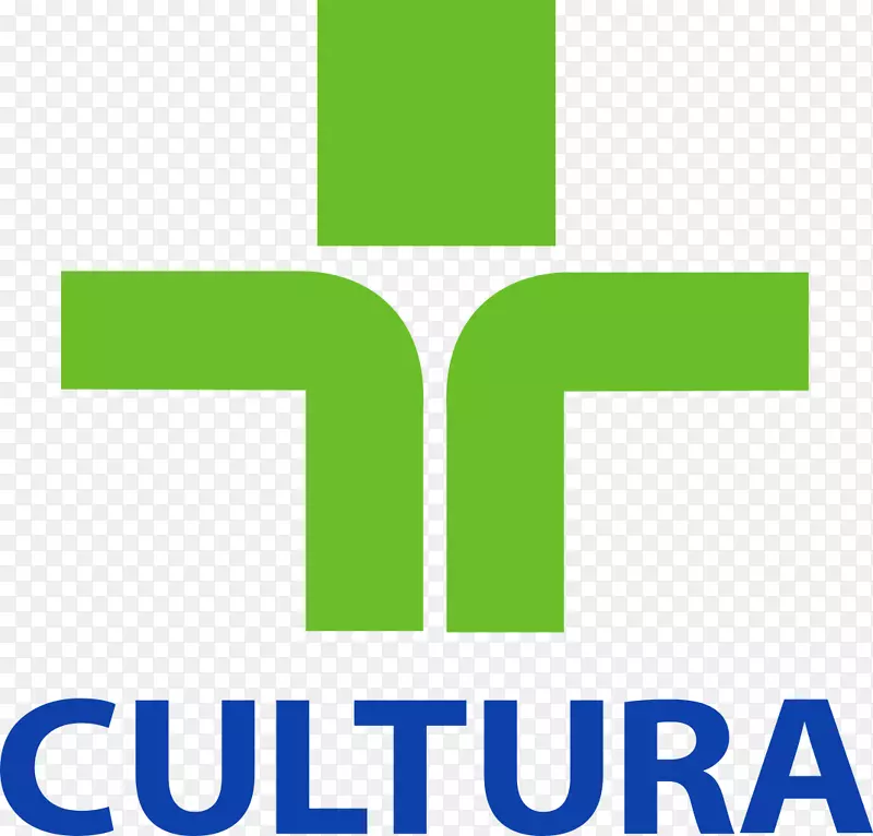 巴西电视文化标志文化