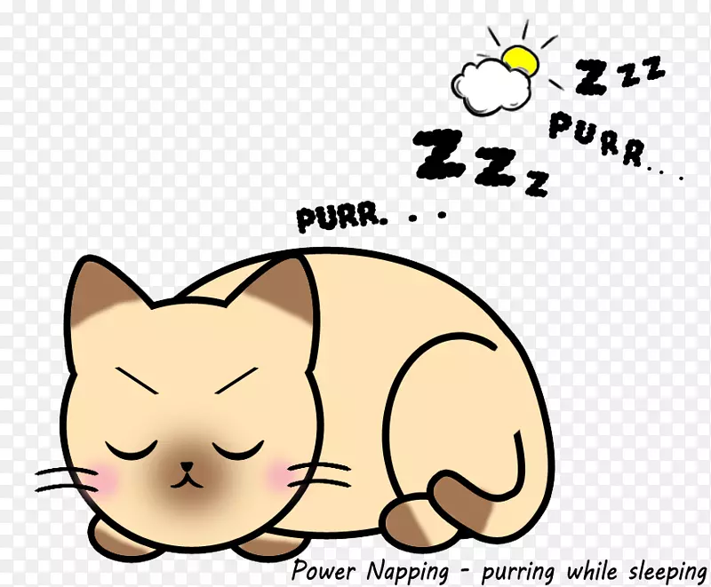 小猫须卡通小睡-小猫