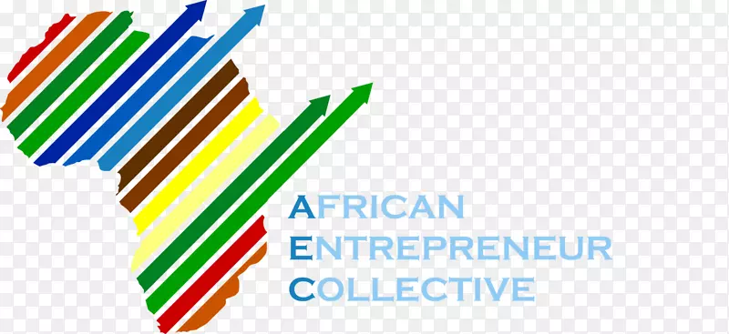 非洲社会创业企业非营利组织-非洲