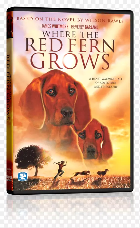 红色蕨类植物生长的地方书小说儿童文学红色蕨类植物生长的地方