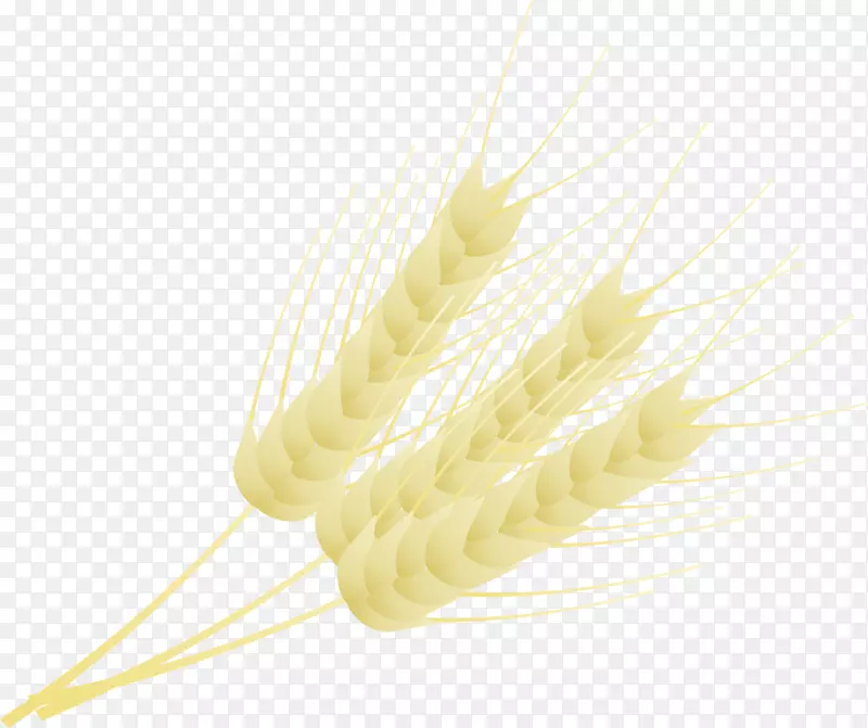 禾本科谷物食品家庭-小麦徽章