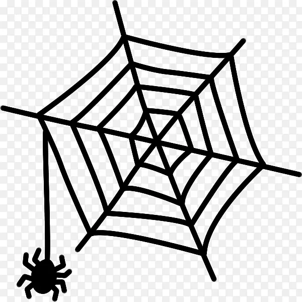 蜘蛛网蜘蛛