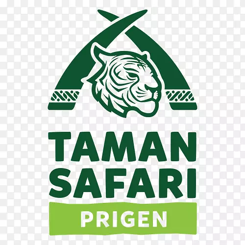塔曼野生动物印尼2只茂物巴厘岛野生动物和海岸公园-棉顶塔马林动物