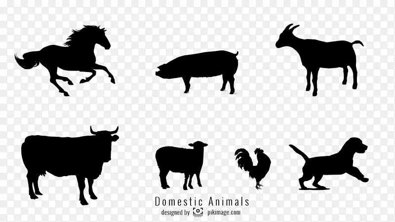 牛、马、猪、羊