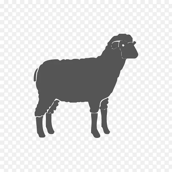 牧羊犬，山羊，兽医，牧羊人-绵羊