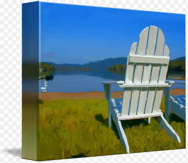 蓝山湖阿迪朗达克湖乔治花园家具椅子