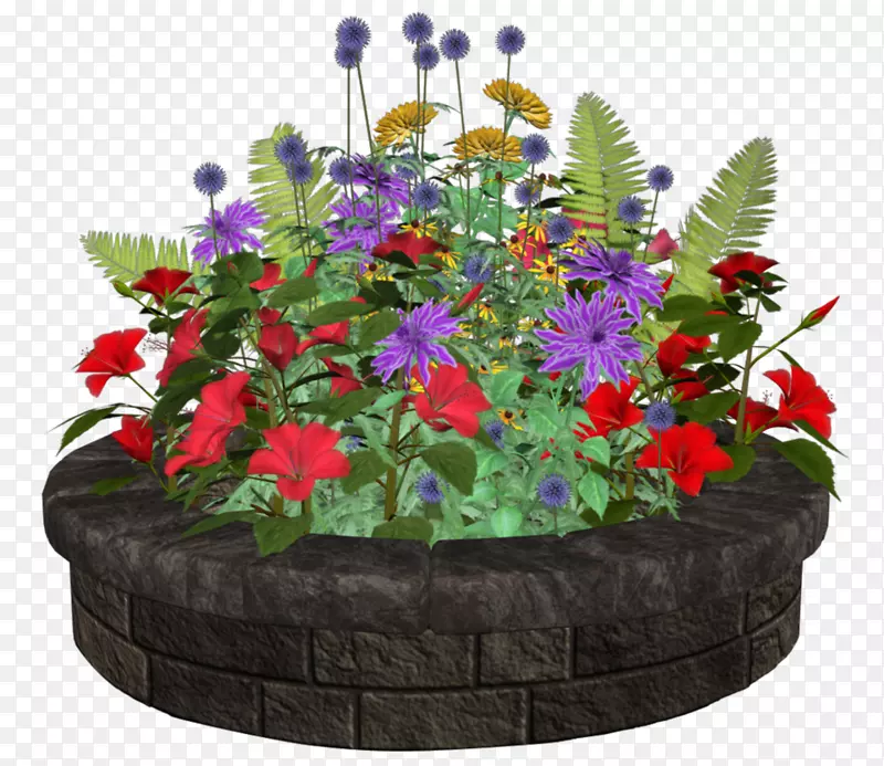 花卉设计花盆开花植物一年生植物.设计