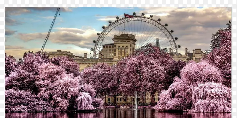 伦敦眼海德公园大本桌面壁纸图片来源有限公司-伦敦眼