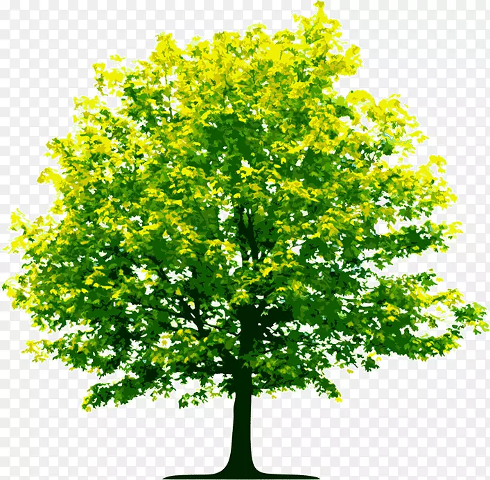 树型企业组织-树型