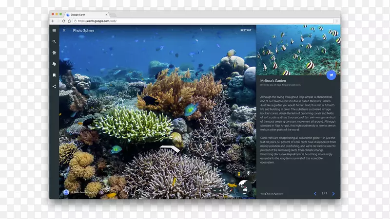 珊瑚礁Catlin Seaview调查海洋机构海洋生物