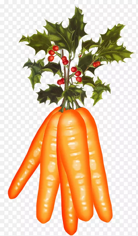 小胡萝卜素食圣诞食品普通冬青-圣诞节