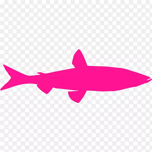 鲨鱼电脑图标剪贴画-鲨鱼