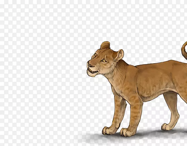 大猫陆生动物美洲狮野生动物-猫
