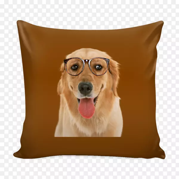 金毛猎犬抛枕头床水手月亮超级电影