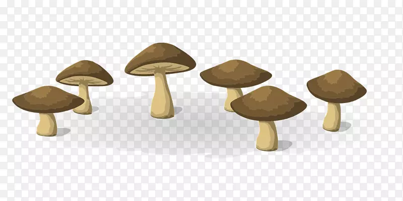香菇根食-蘑菇